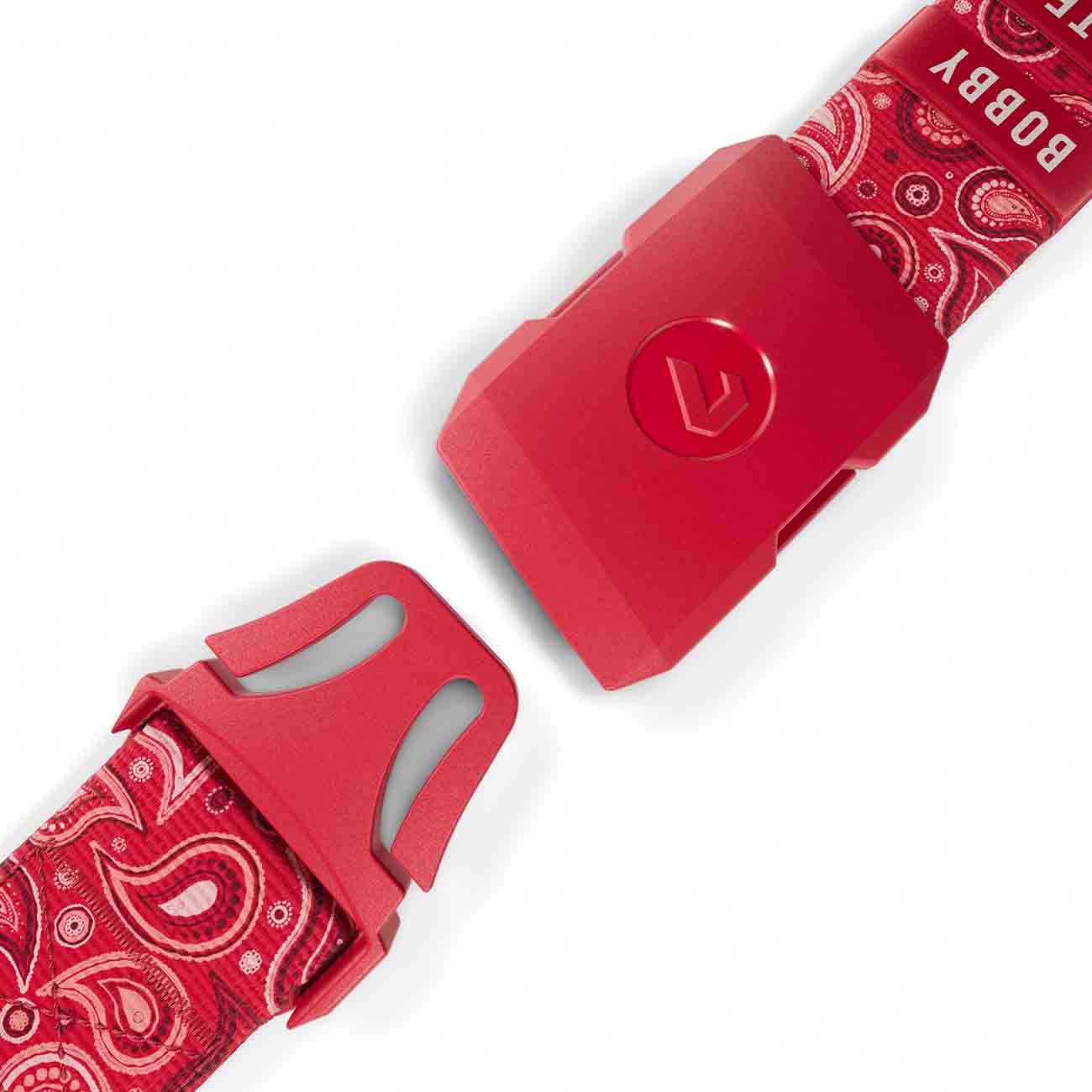 Bobby Heaters Diamond Paisley Standard Belt - Image 15