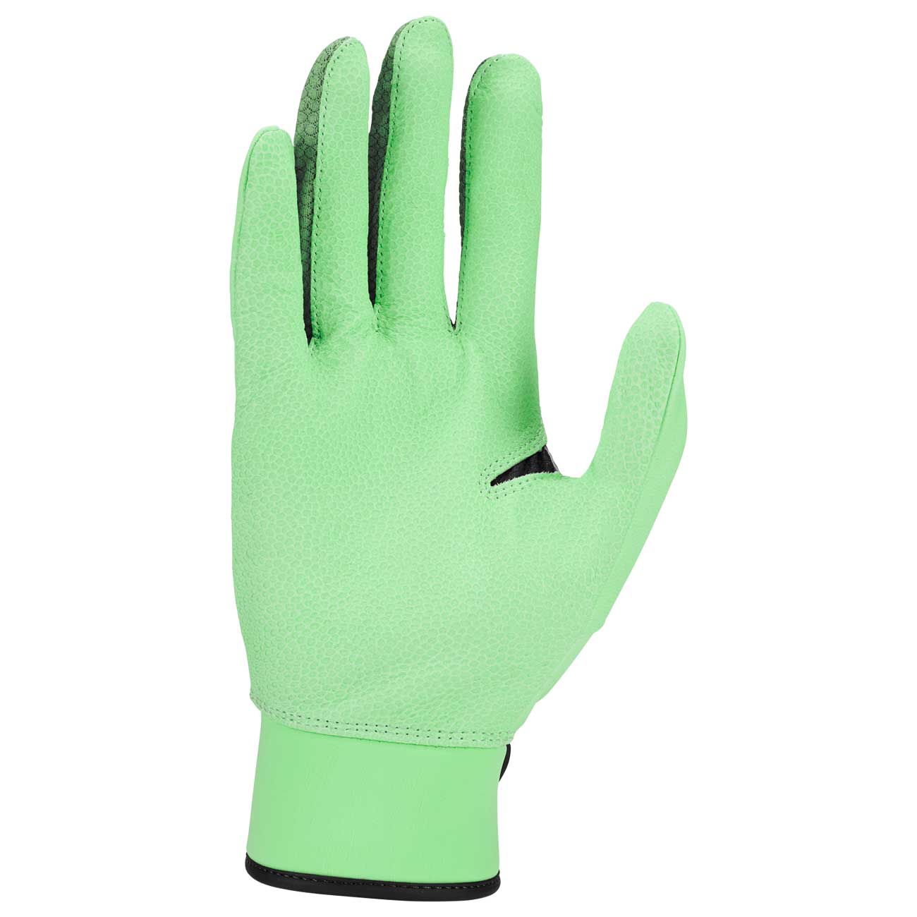 Nike Alpha Elite 2.0 Batting Gloves - Image 4